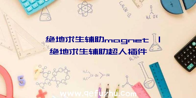 「绝地求生辅助magnet」|绝地求生辅助超人插件